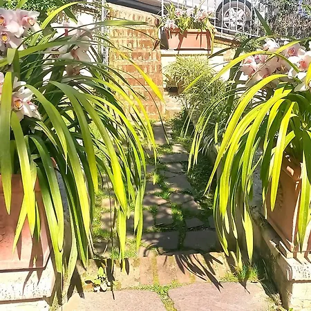 Michelangelo Deluxe * Рим